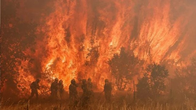 İspanya’da orman yangını: 250 kişi tahliye edildi