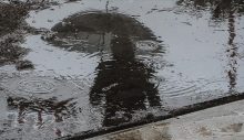 Hafta başı sağanak bekleniyor