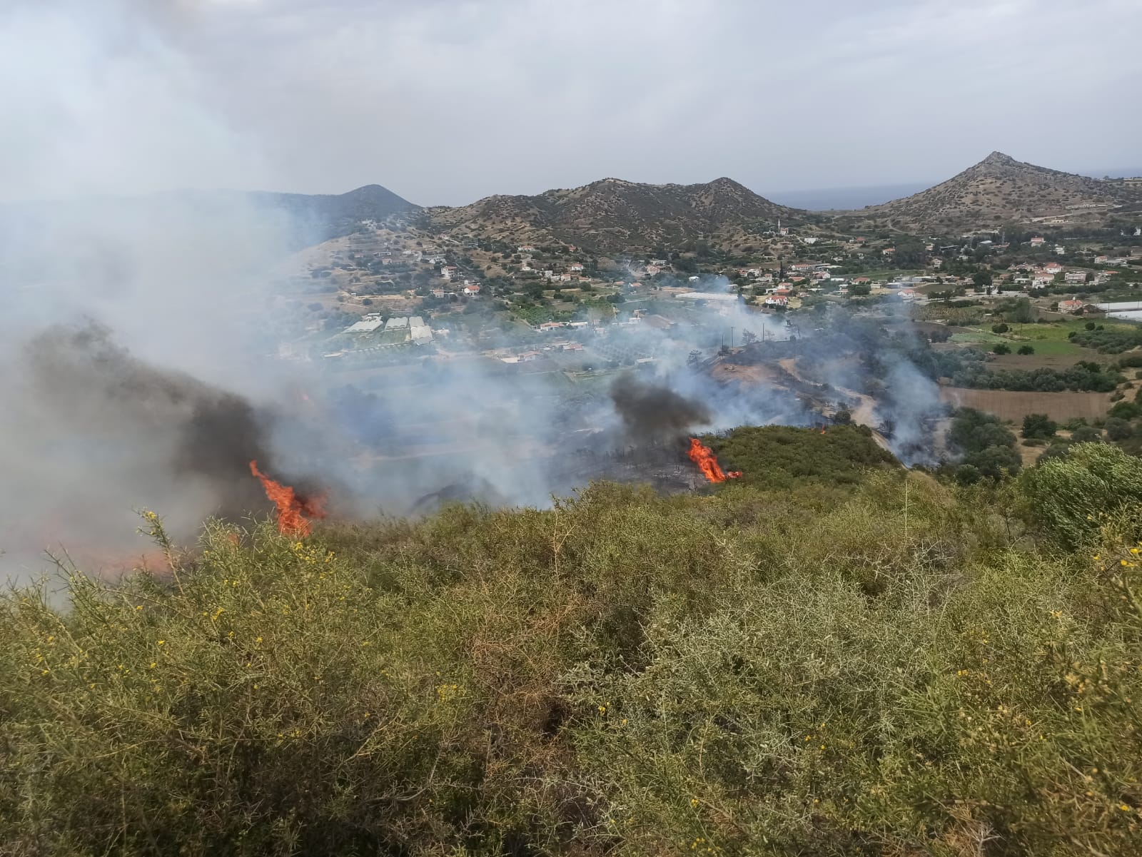 Meteoroloji Dairesi Müdürü Buran: “Yangın bölgesinde kuvvetli rüzgar etkili”