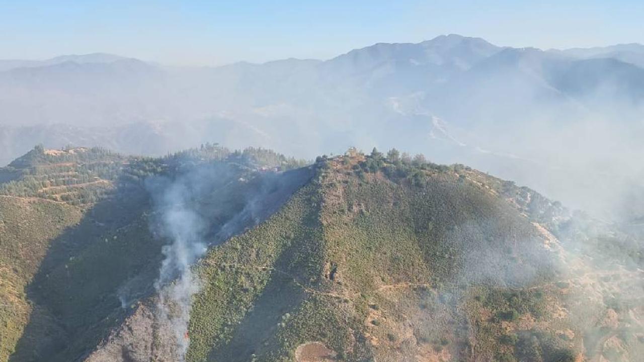 yeşilırmak yangın