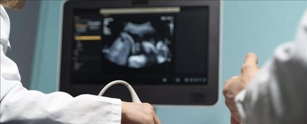 Her 100 çiftten 15’inde kısırlığa rastlanıyor