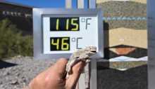 Dünyanın en sıcak yerlerinden ABD’deki Death Valley’de sıcaklık 46 derece ölçüldü
