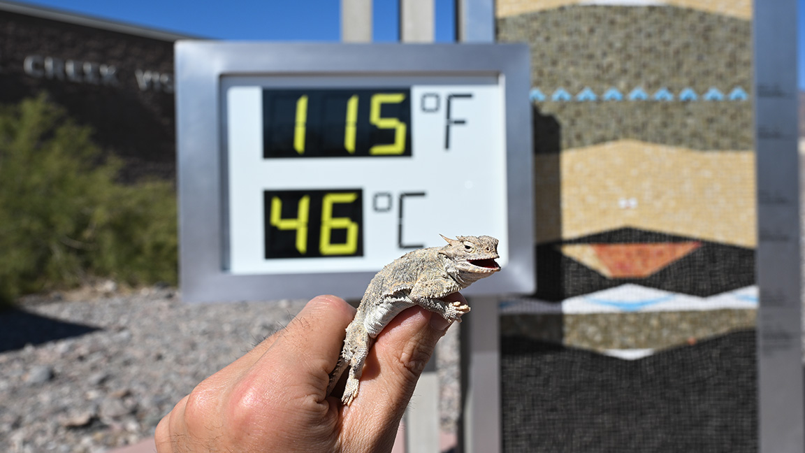 Dünyanın en sıcak yerlerinden ABD’deki Death Valley’de sıcaklık 46 derece ölçüldü