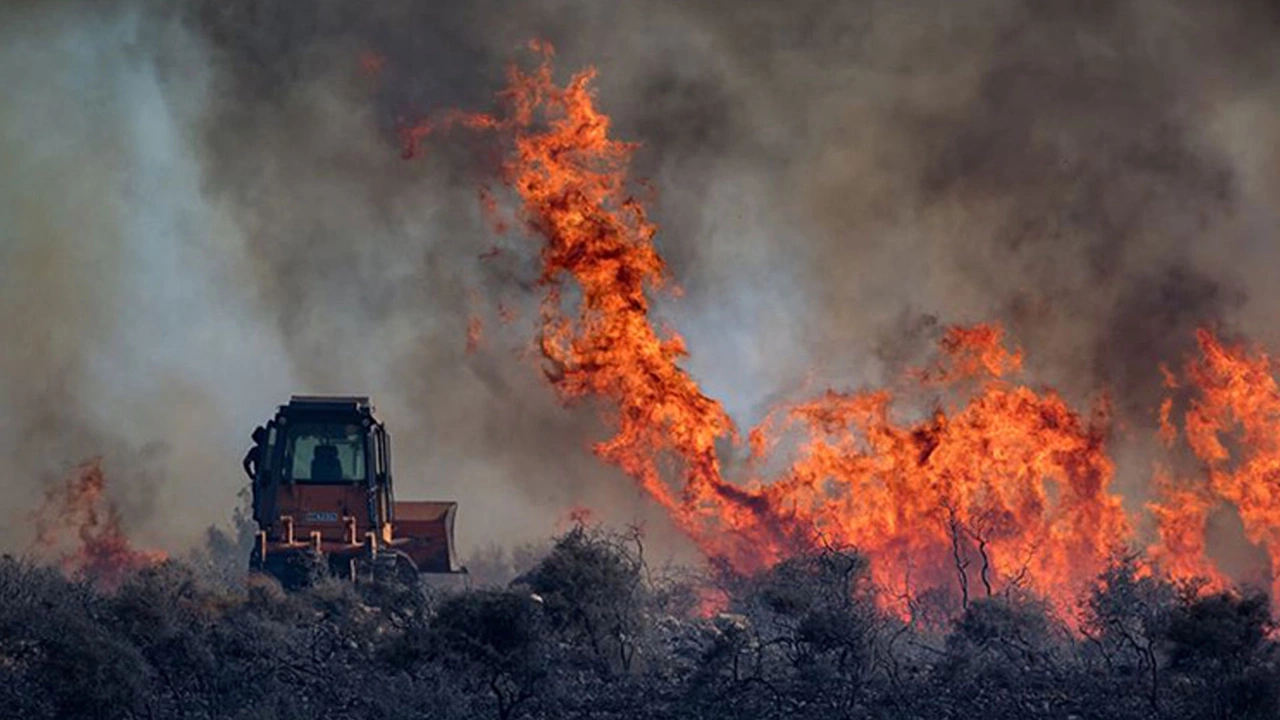 Hristodulidis, Limasol yanarken tatile gitti