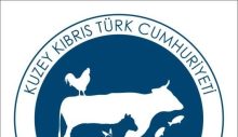 Hayvancılık Dairesi’nden aflatoksin konusunda açıklama