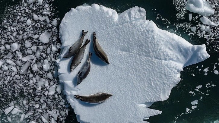 Antarktika’daki deniz buzu seviyesi, mevsimsel ortalamanın çok altında