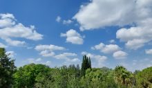 Hava ılık ve nemli olacak