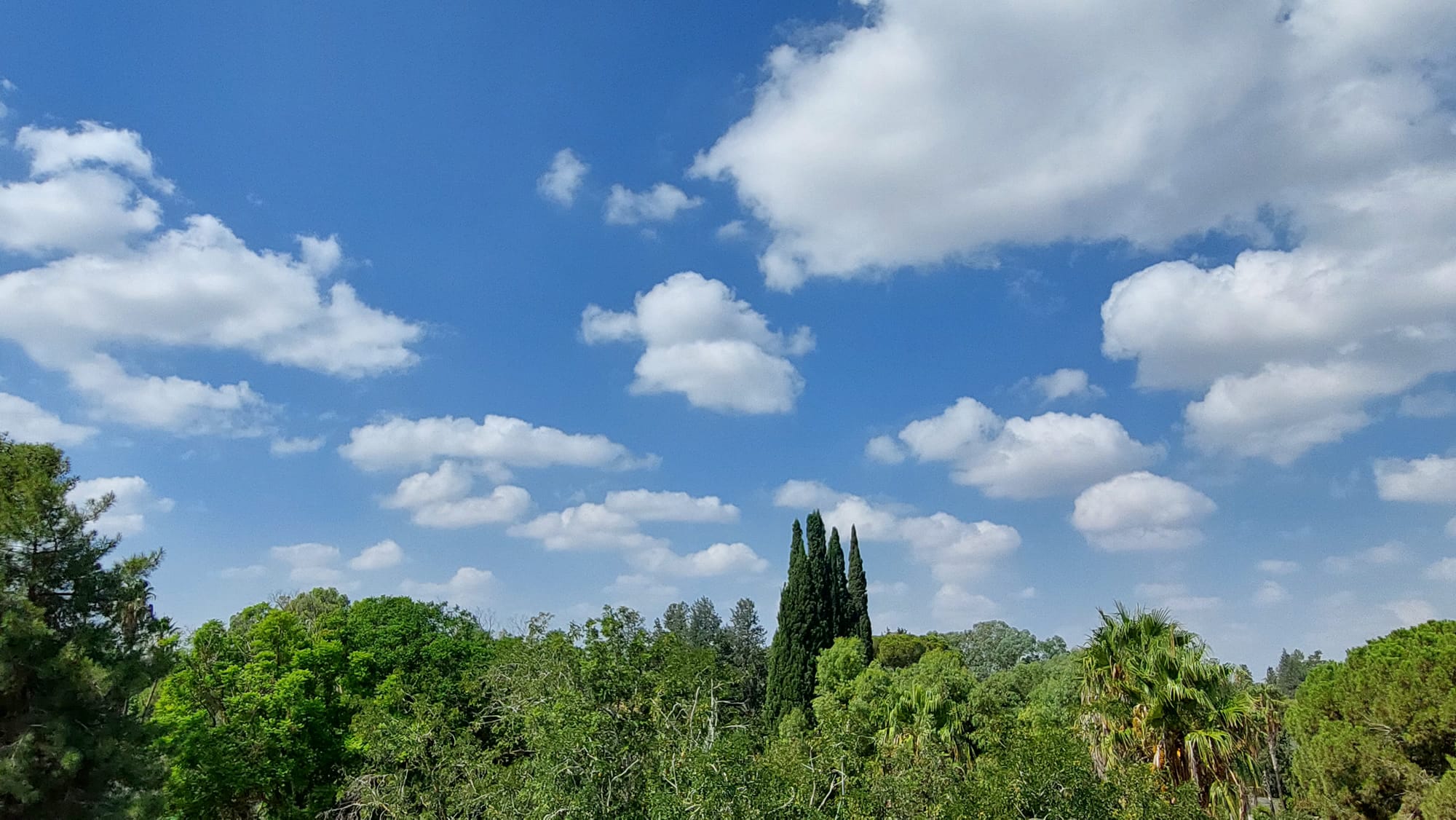 Hava ılık ve nemli olacak