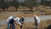 Kıbrıs Türk toplumundan KŞK’ya 75 bin Euro bağış