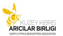 Arıcılar Birliği: “Kimyasal ilaçlara toptan karşıyız ve her türlü mücadeleyi yapmaya kararlıyız”