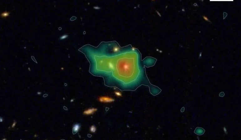 1369360-1439559628.png