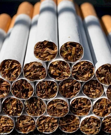 230203114015-tabaco812x0-is.webp.webp