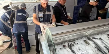gonyeli-ve-alaykoy-bolgesindeki-su-urunleri-perakende-satis-yerleri-denetlendi.JPG