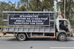 guney-kibrista-hayvancilar-eyleme-hazirlaniyor.jpg
