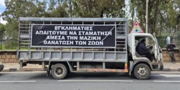 guney-kibrista-hayvancilar-eyleme-hazirlaniyor.jpg