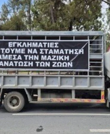 guney-kibrista-hayvancilar-eyleme-hazirlaniyor.jpg