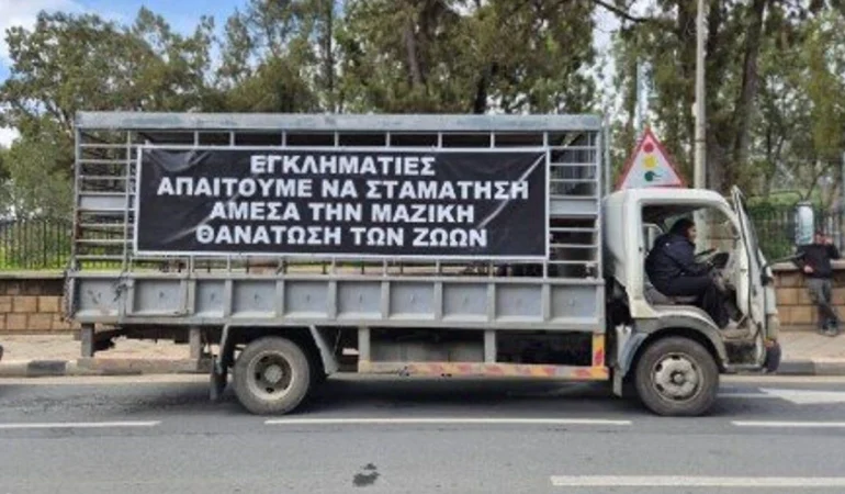 guney-kibrista-hayvancilar-eyleme-hazirlaniyor.jpg