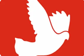 tdp-ercan-havalimanindaki-embriyo-olayinin-aydinlatilmasini-istedi.png