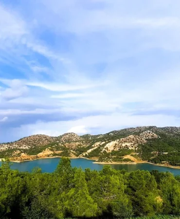 1765543608194-hava.jpg