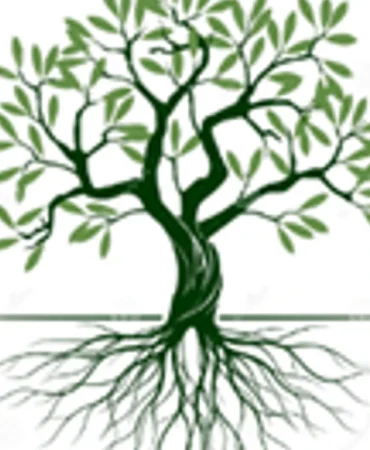 iki-toplumlu-kibris-kadin-koalisyonundan-liderlere-baris-sureci-cagrisi.png