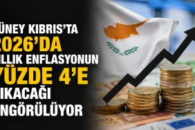 42fc8dd5-7b14-4b9b-9908-6faa32465c40.png