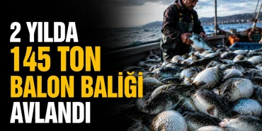 65333098-cc0b-4f7c-a55b-a28ad678f8cd.png