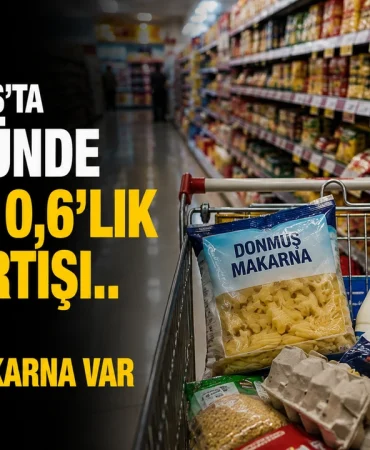 b541f632-1db1-4d96-bae8-2a9a44cb4dc1-1.png