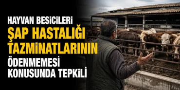 c72bfca1-899c-408b-8170-ed809cbe7350.png