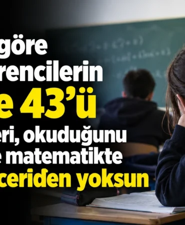 3eb19541-32b3-4cd0-9f62-397694376acc.png