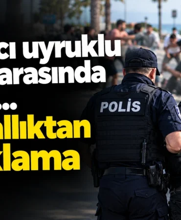 6de3dc6a-4282-4b42-a078-d00fe95d2bb9.png