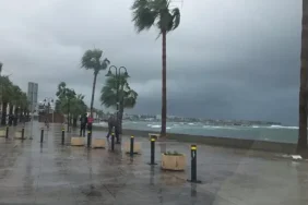 1791988417022paphos-promenade.webp.webp